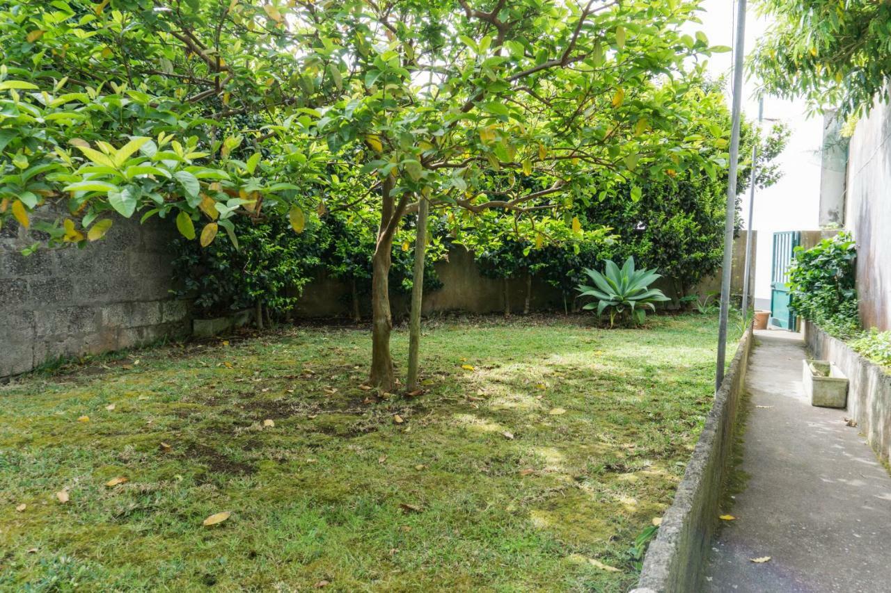 Casa da Tia Adília (AL) Ponta Delgada Exterior foto